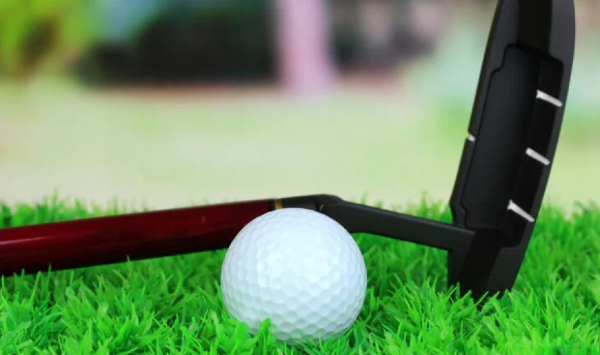 Elevate Your Golf Game with a High-Quality Golf Hitting Net