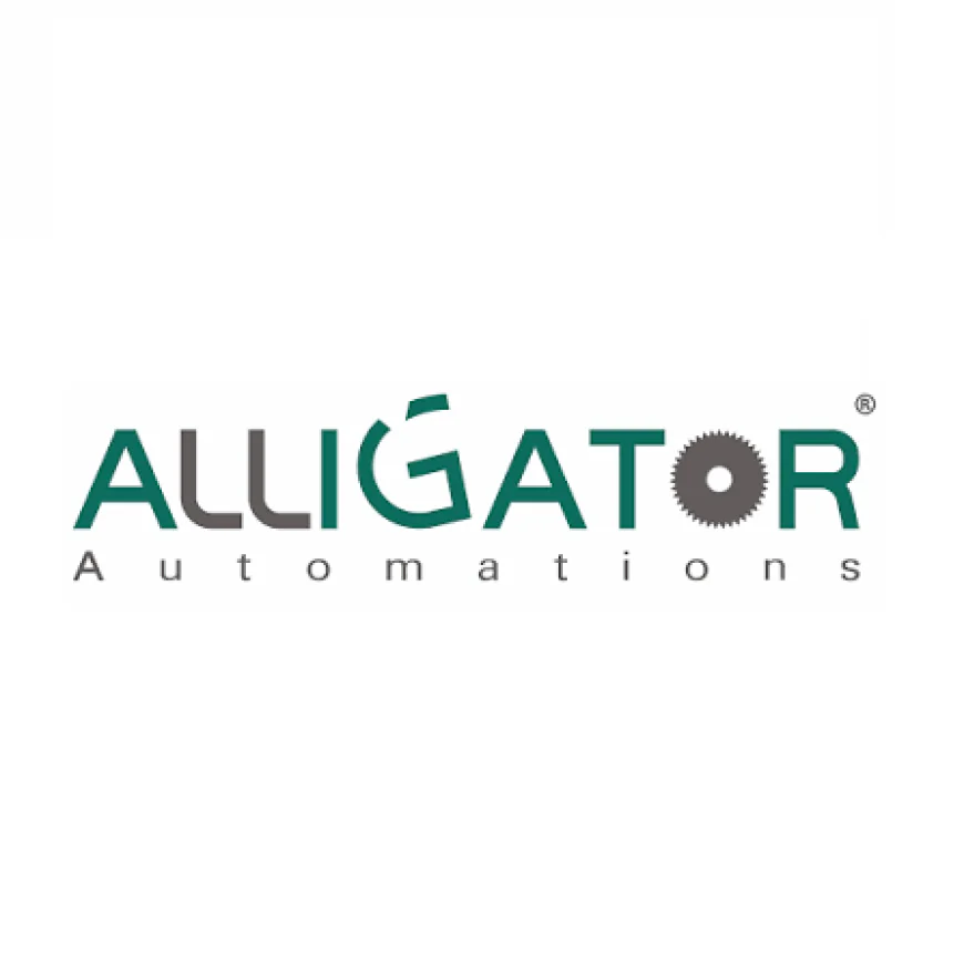 How to Choose the Right Palletizer Machine for Your Industry
