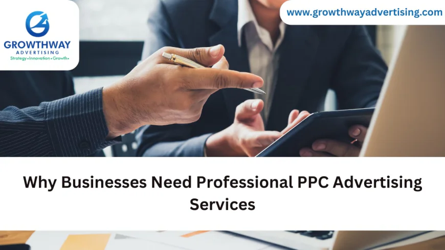 Why Businesses Need Professional PPC Advertising Services