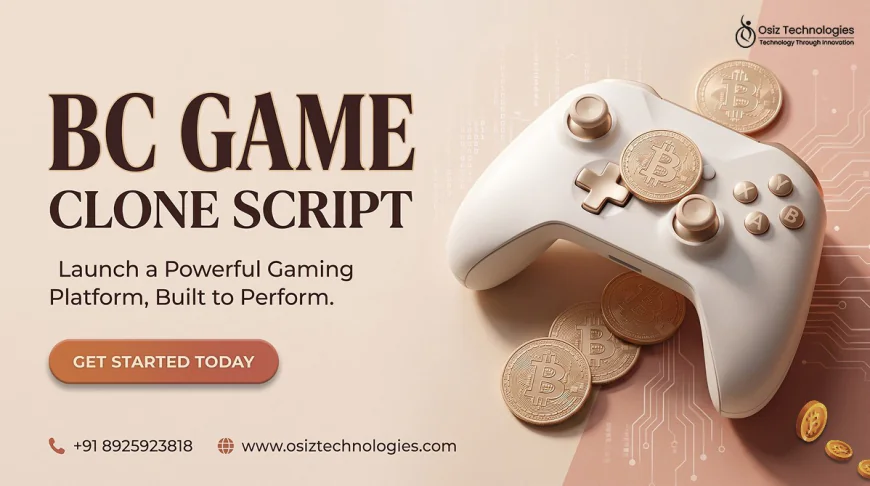 How Can a BC Game Clone Script Be Adapted for Different Gaming Markets