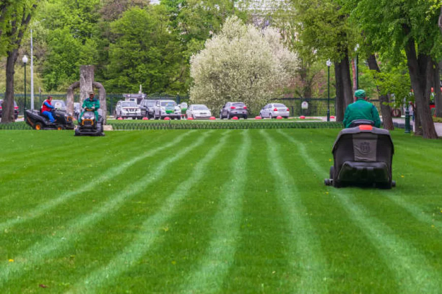 Creating Healthier Residential Lawns In Madison
