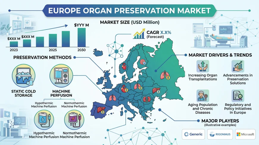 Can Europe's Organ Preservation Market Keep Pace with Its Transplant Revolution?