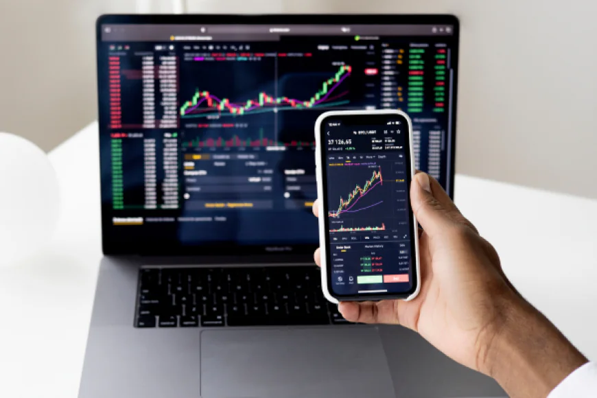 How to Balance Growth and Dividend Stocks in the US Market