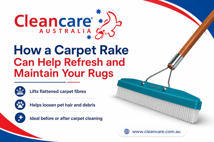 How to Choose the Right Carpet Cleaning Powder for Reliable Results