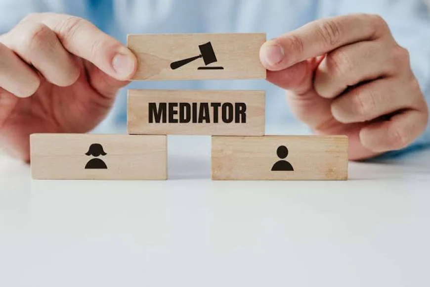 Parenting Plan Mediation: A Practical Guide for Separated Parents
