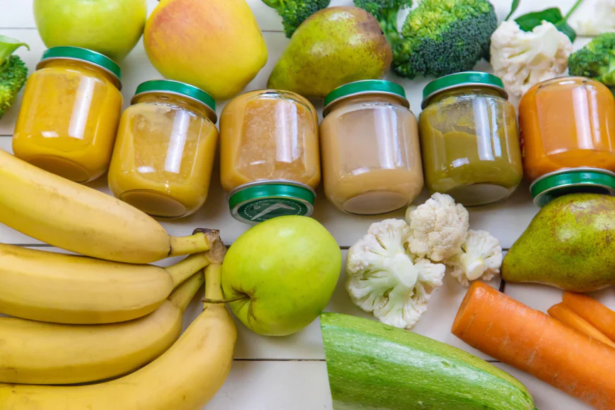 Global Organic Baby Food Market Size, Trends, and Growth Analysis 2026-2033