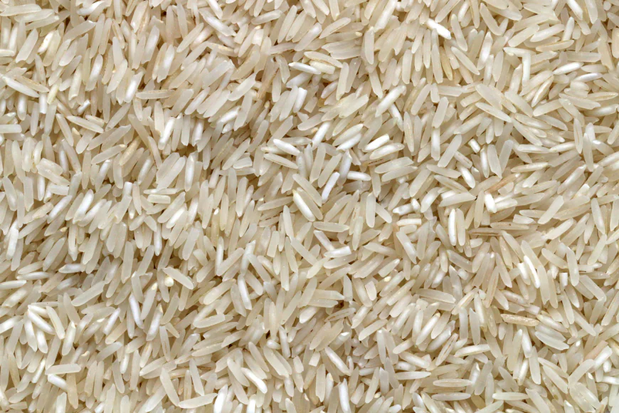 Rice Seed Market Growth and Strategic Outlook: 2026 to 2033