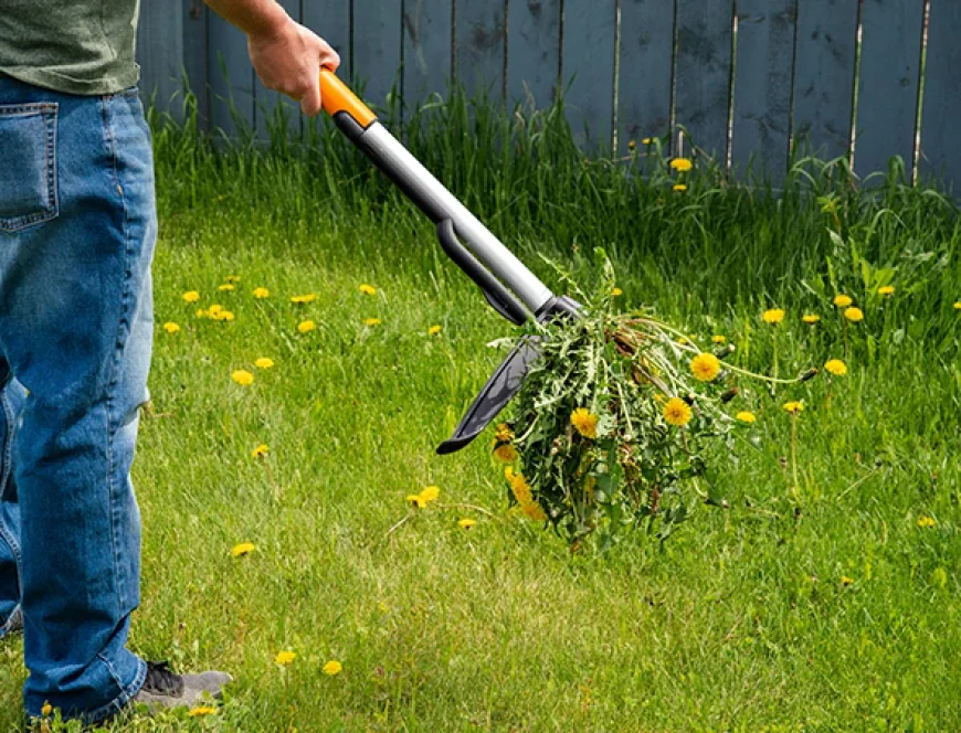Lawn Care Services in Detroit Lakes, MN | Good Lookin Properties