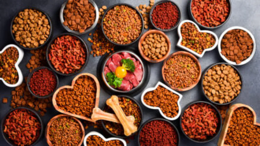 Pet Food Market Growth Driven by Rising Pet Ownership and Premiumization