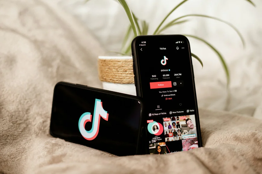 How to Use a TikTok Follower Checker to Monitor Account Growth