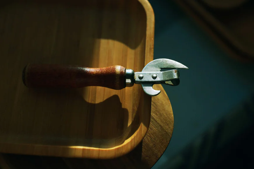 Global Can Openers Market Size, Trends, and Growth Outlook 2026-2033