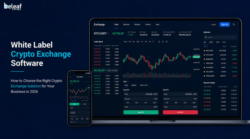 How to Choose the Right Crypto Exchange Solution for Your Business in 2026