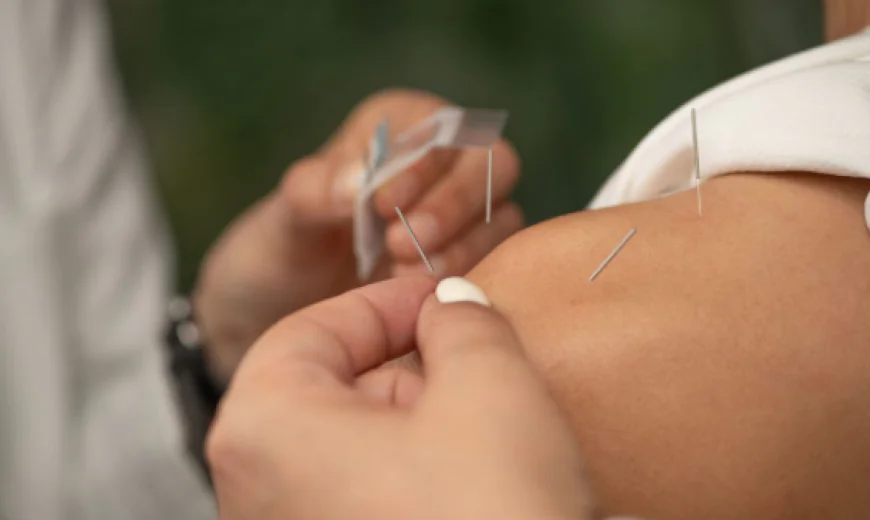 Who Should Consider TCM Certification in Ontario? What Does This Training Include?