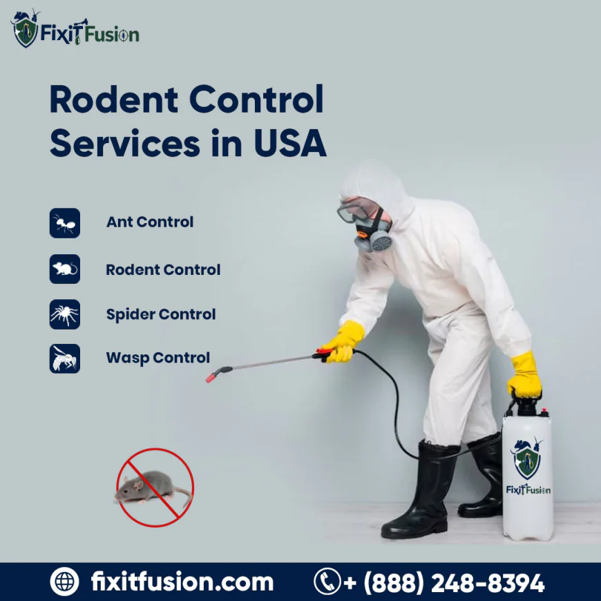 How to Keep Rodents Out of Your Home in USA