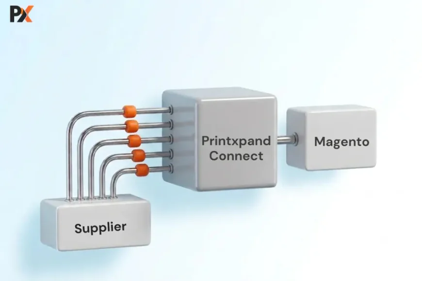 How to Set Up PromoStandards Magento Integration: A Step-by-Step Overview