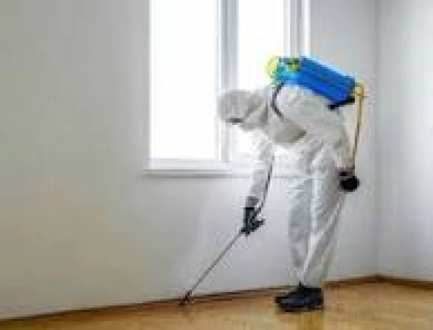 Pest Control SEO: A Complete Guide to Growing Pest Control Businesses Online