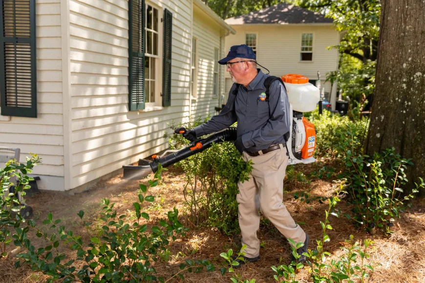 How Professional Pest Control Protects Staten Island Homes and Businesses