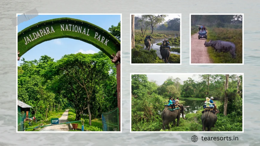 Jaldapara National Park Safari Guide | Timings & Distance