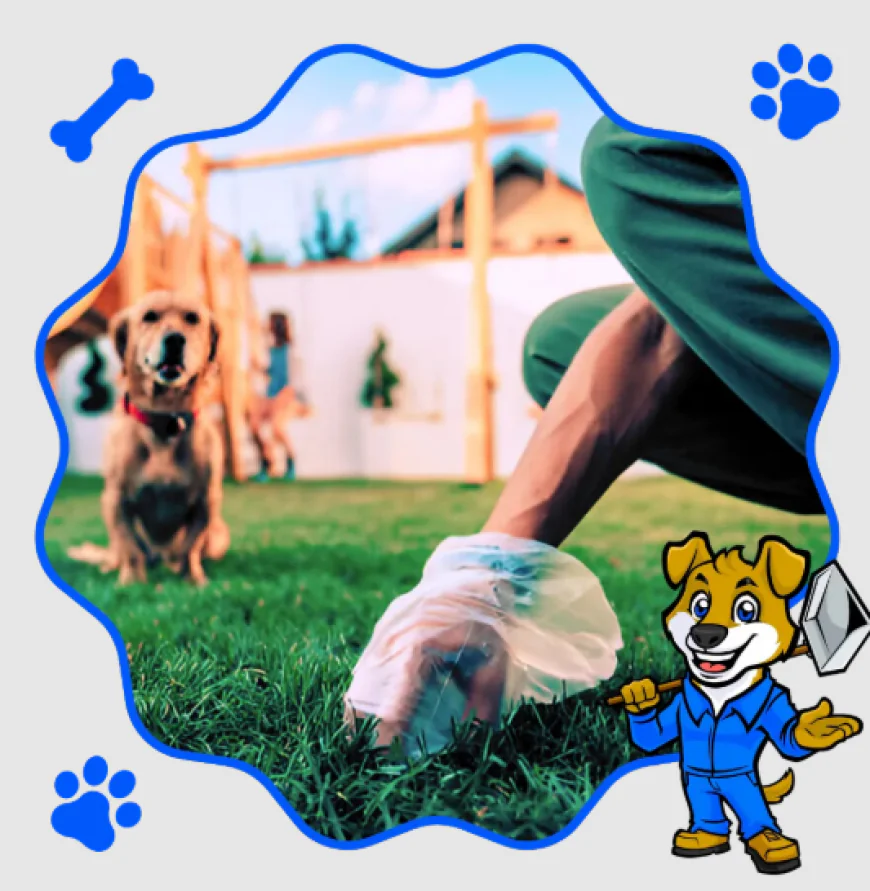 Dog Poop Yard Cleaner: The Simple Solution for a Cleaner, Healthier Outdoor Space