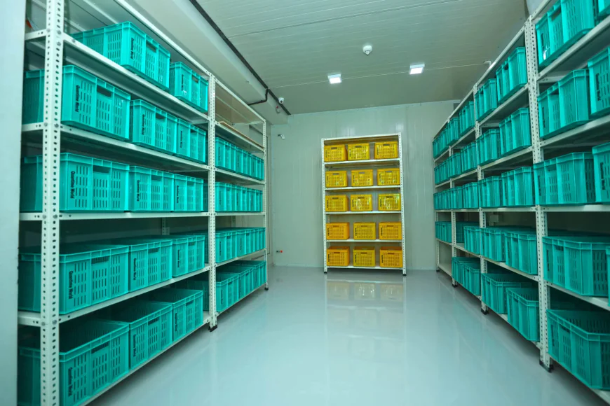 GMP Compliance for Clinical Trials: Protecting Product Quality, Patient Safety and Trial Integrity