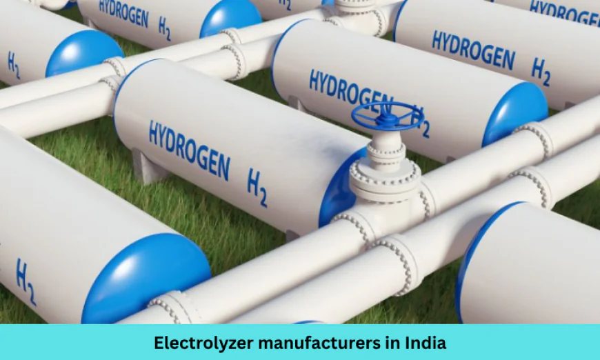 Key Factors to Consider When Choosing an Electrolyzer Manufacturer in India