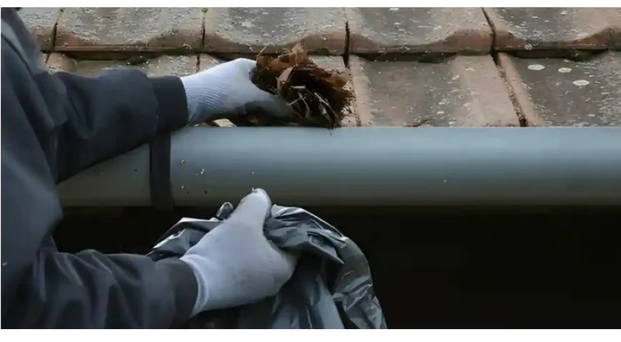 What Are the Best Cleaning Services in Melbourne for Your Property?