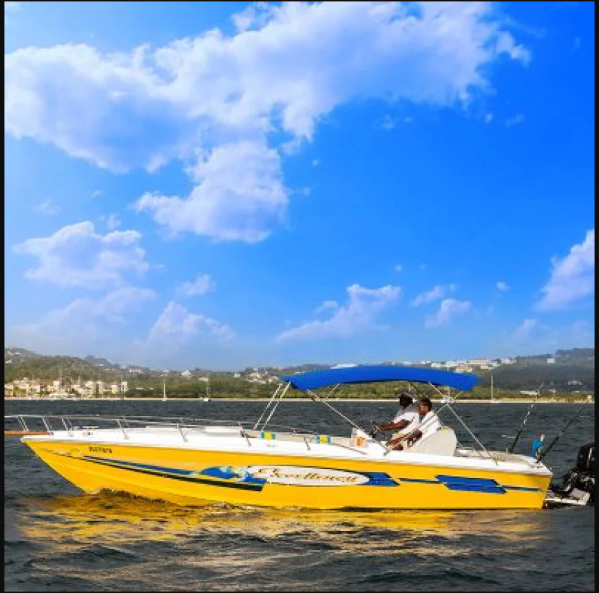 Explore St. Lucia by Sea with Scenic Boat Tours and Yacht Charters