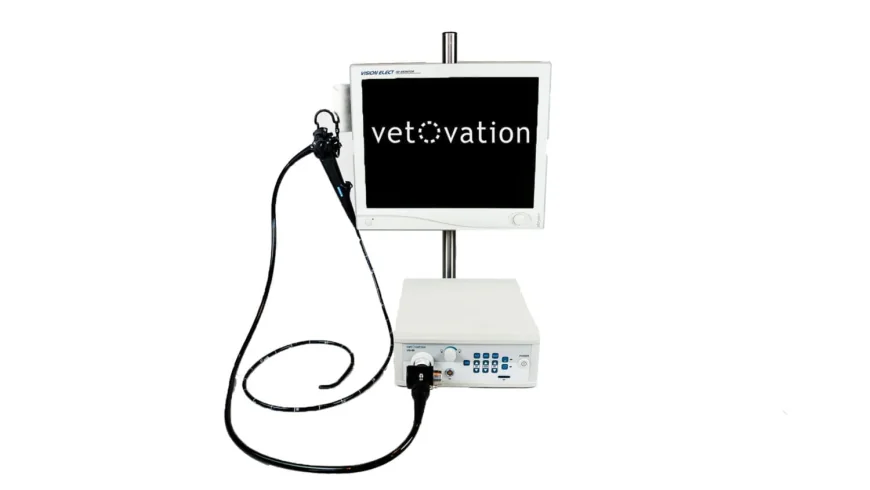 Veterinary Cystoscope Uses in Animal Diagnostic Endoscopy