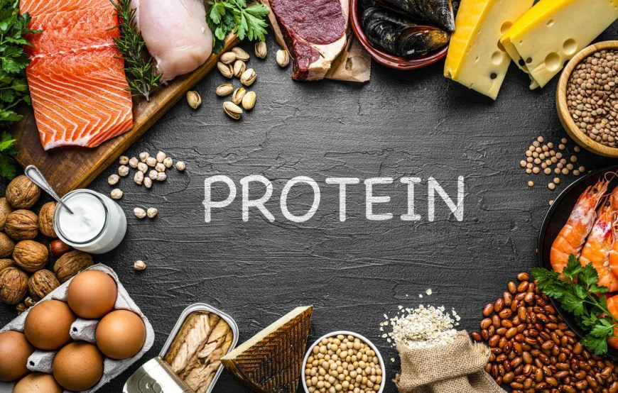 The Role of Protein in Maintaining Muscle and Nerve Health