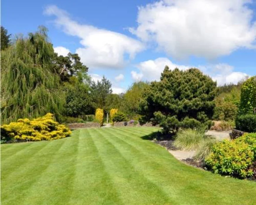 5 Signs You've Found the Right Landscaping Contractor in Sydney