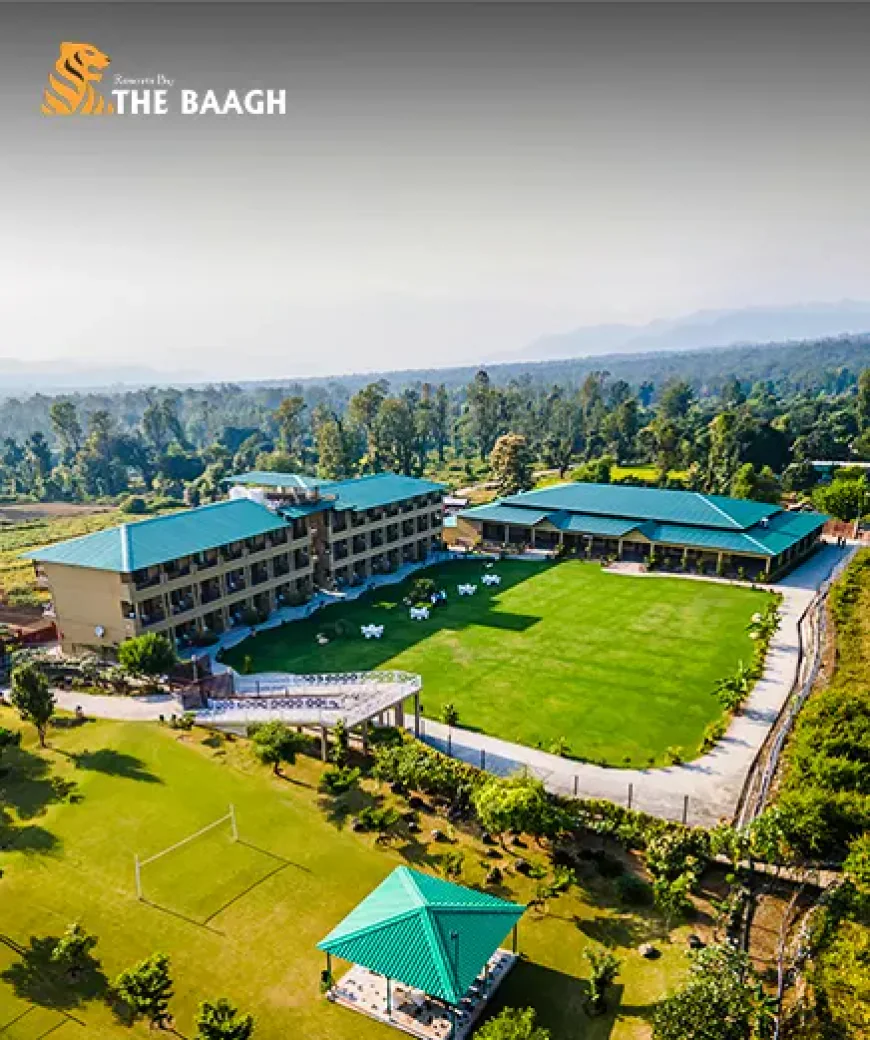 Which Are the Best Resorts in Jim Corbett for Couples Looking for Romantic Luxury Stays?