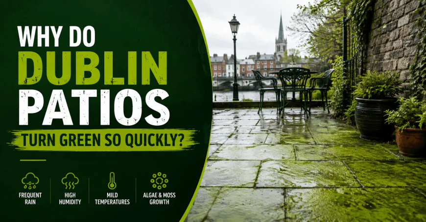 Why Do Dublin Patios Turn Green So Quickly?