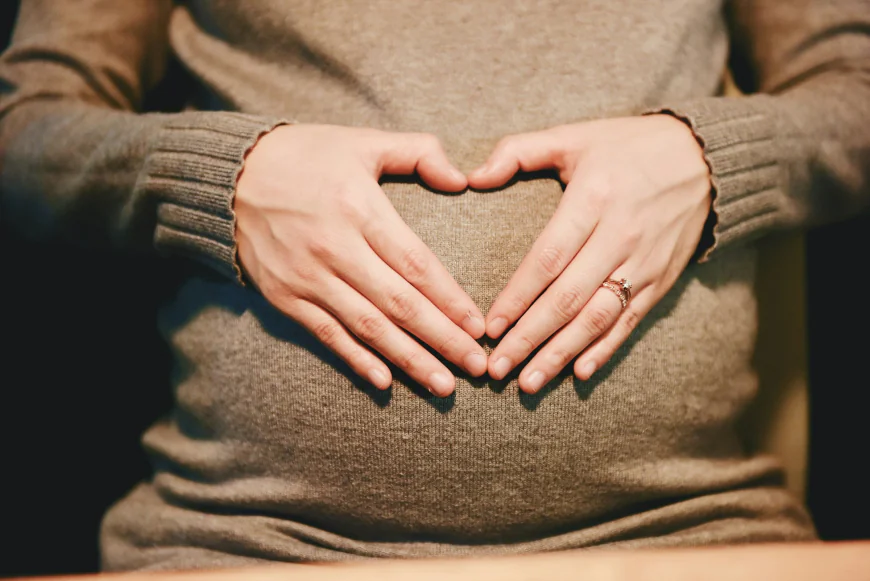 Global Maternal Health Market Size, Trends, and Growth Forecast 2026-2033