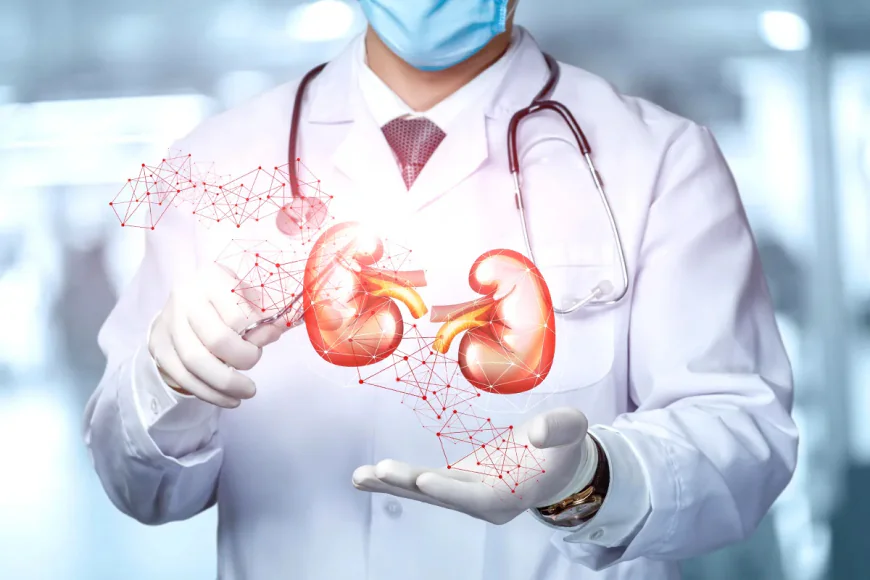 Urologist in Abu Dhabi: Expert Care for Better Urinary and Men’s Health