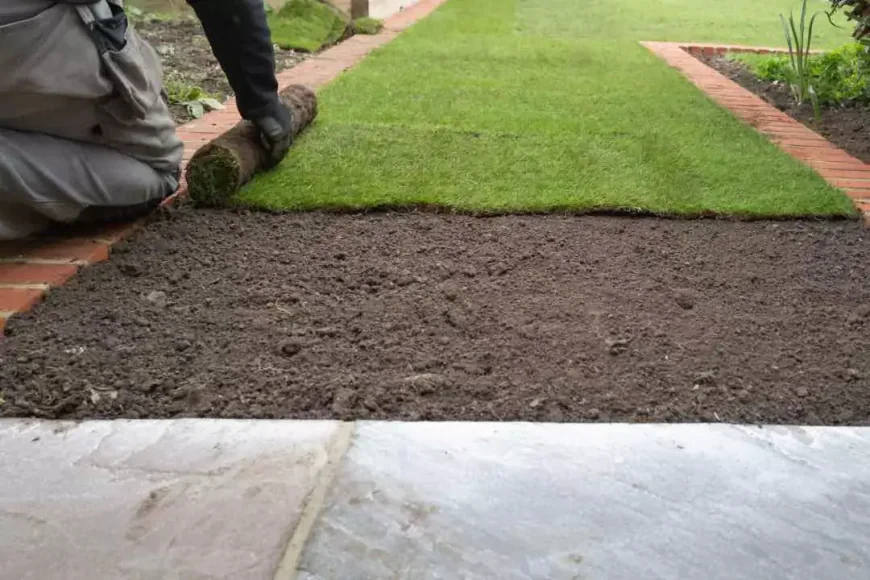 Buffalo Turf Sydney: Tips for Selecting and Installing Turf