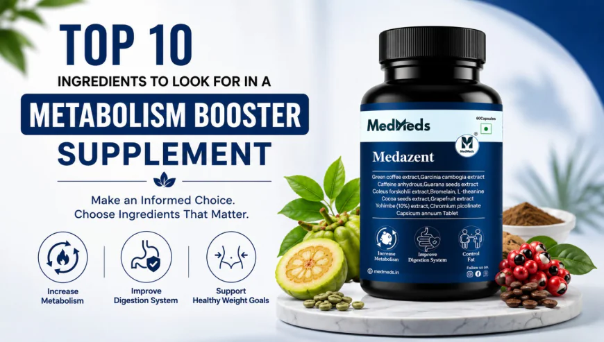 Metabolism Support Supplements and Everyday Wellness