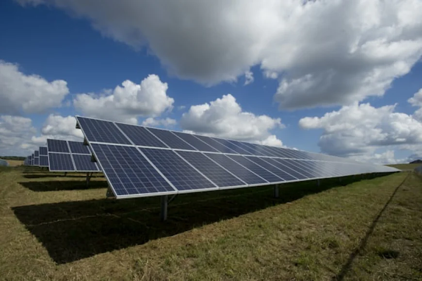 Key Factors to Consider When Selecting a Solar Panel Company in India