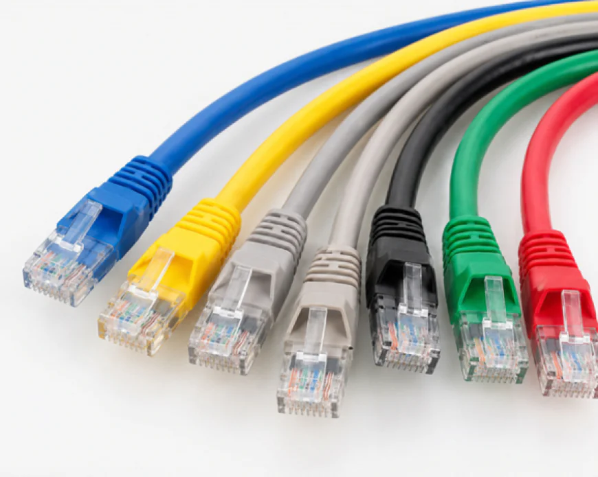 Global Network Cables Market: Size, Trends, Growth, and Strategic Insights