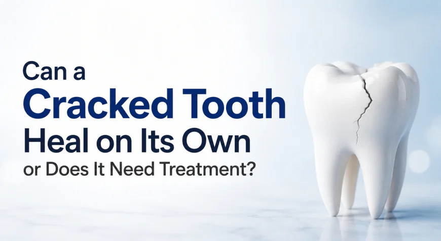 Can a Cracked Tooth Heal on Its Own or Does It Need Treatment?