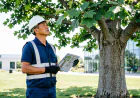 Certified Arborist Exam: What I Learned from the Experience
