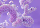 Carcinoembryonic Antigen (CEA) Market Size, Trends, and Growth Analysis 2026-2033