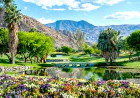 Discover Why a Palm Springs Vacation Is Worth Planning