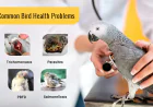 Common Bird Health Problems