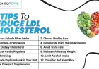 What is High Cholesterol, Effects in the body and how to manage it