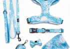 From Playtime to Cuddle Time: Choosing the Perfect Plush Dog Toy