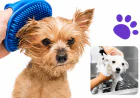 5 Grooming Problems Dog Owners Usually Notice Too Late