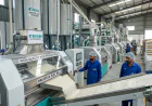 High-Quality Rice Production: Rice Mills in Pakistan and Their Key Role