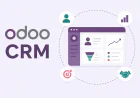 Odoo CRM Customization: Building a CRM Around Your Business Needs