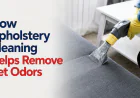 How Upholstery Cleaning Helps Remove Pet Odors