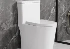 How One Piece Toilet Designs Improve Bathroom Style